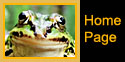 Click here to go back to the Home Page