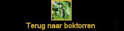 Klik hier om terug te gaan naar de boktorren.