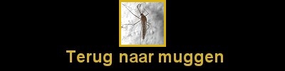 Klik hier om terug te gaan naar de muggen