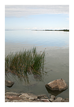 photo of calm water with grass and rocks and sky with couds on horizon