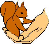 Logo eekhoornopvang Nederland